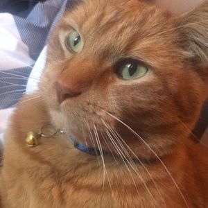 Meet your Posher, Brianne